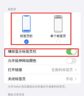 太和iPhone授权维修分享Safari浏览器如何切换标签栏位置 